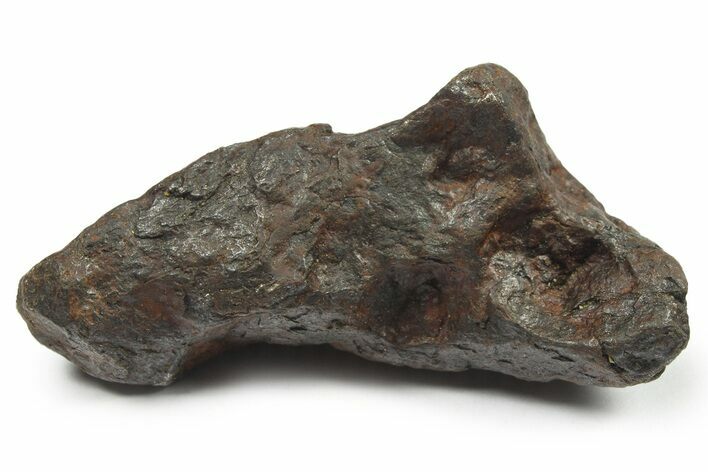 Canyon Diablo Iron Meteorite ( g) - Arizona #270523